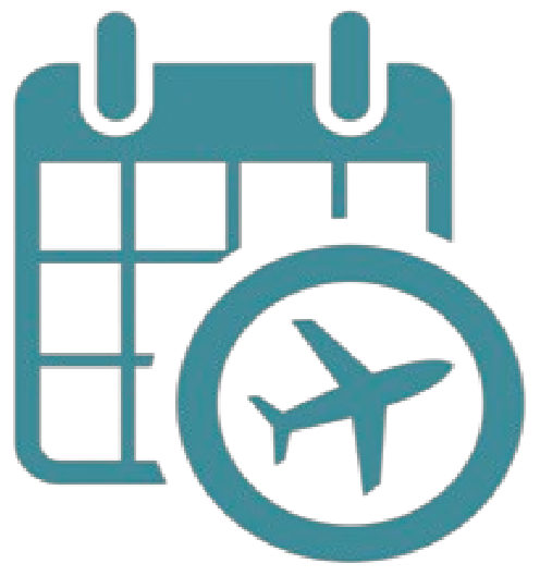 Flight Logo
